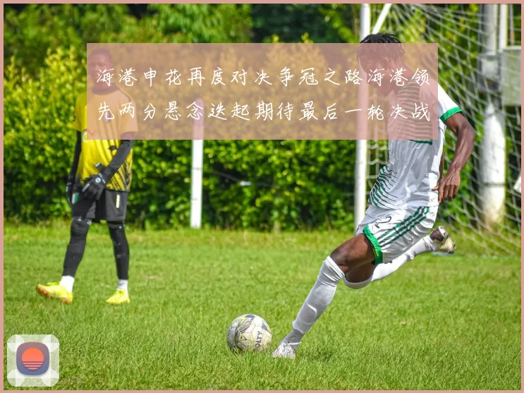 海港申花再度对决争冠之路海港领先两分悬念迭起期待最后一轮决战