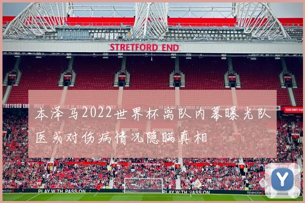 本泽马2022世界杯离队内幕曝光队医或对伤病情况隐瞒真相