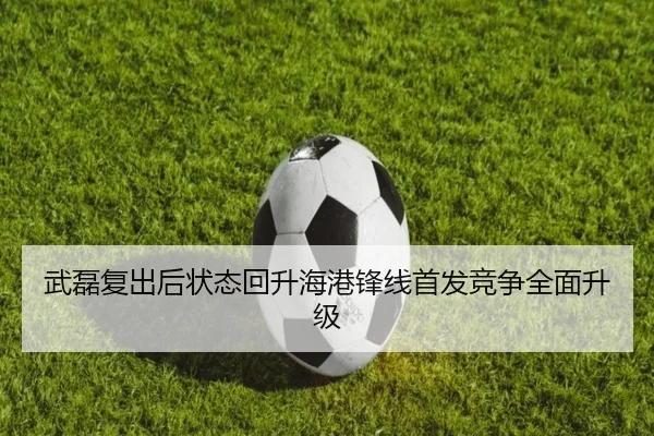 武磊复出后状态回升海港锋线首发竞争全面升级 - kaiyun